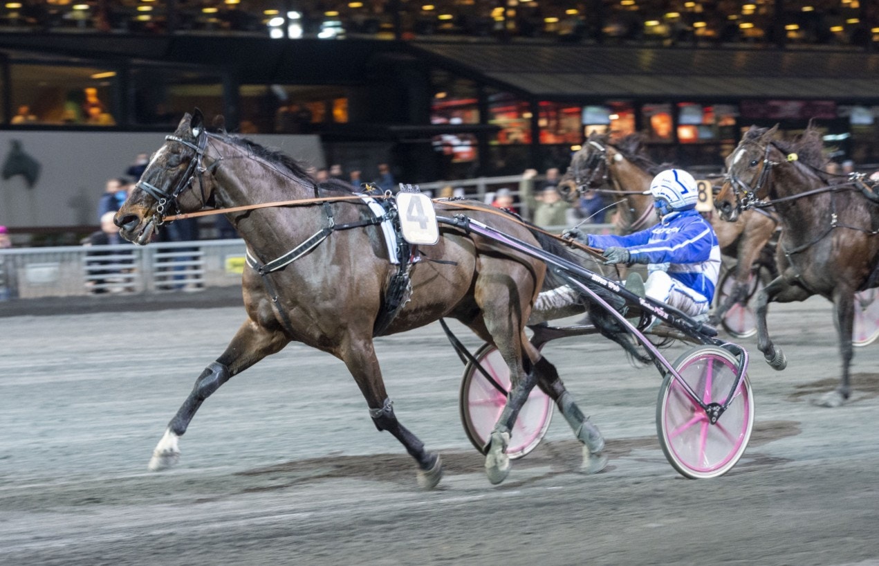 Elian Web hade kontrollen