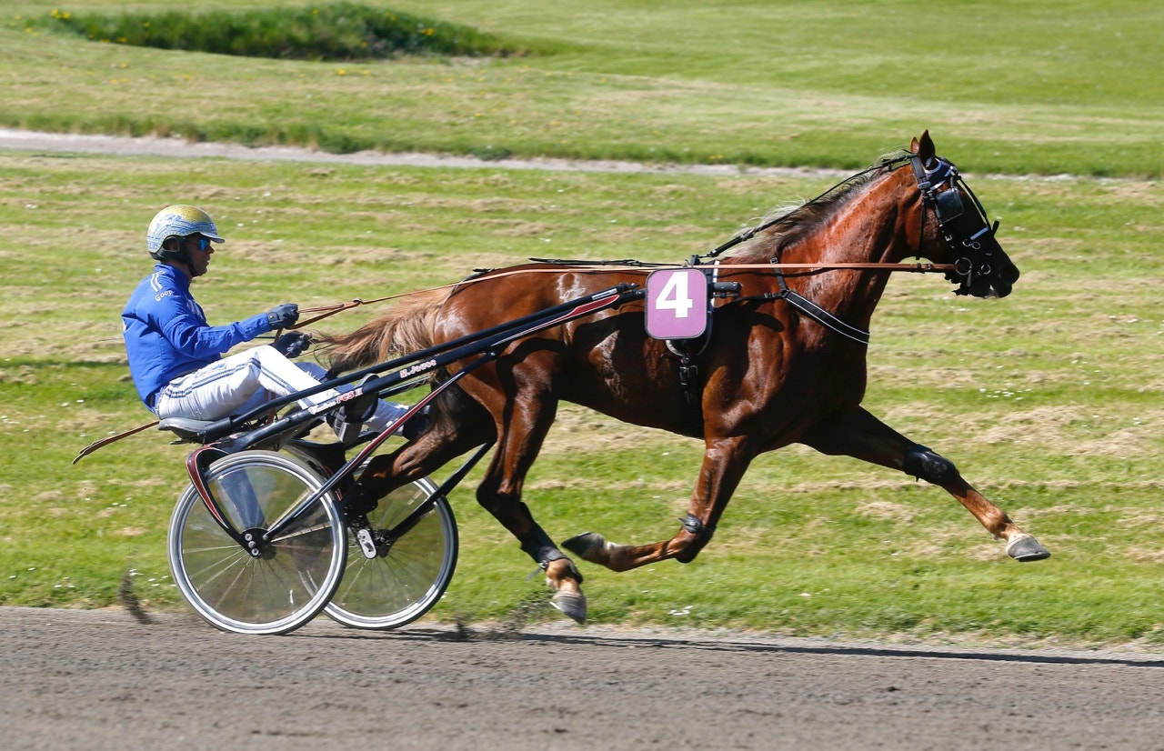 Björn Goop och Portland jagar segrar på Vincennes - Foto: ALN