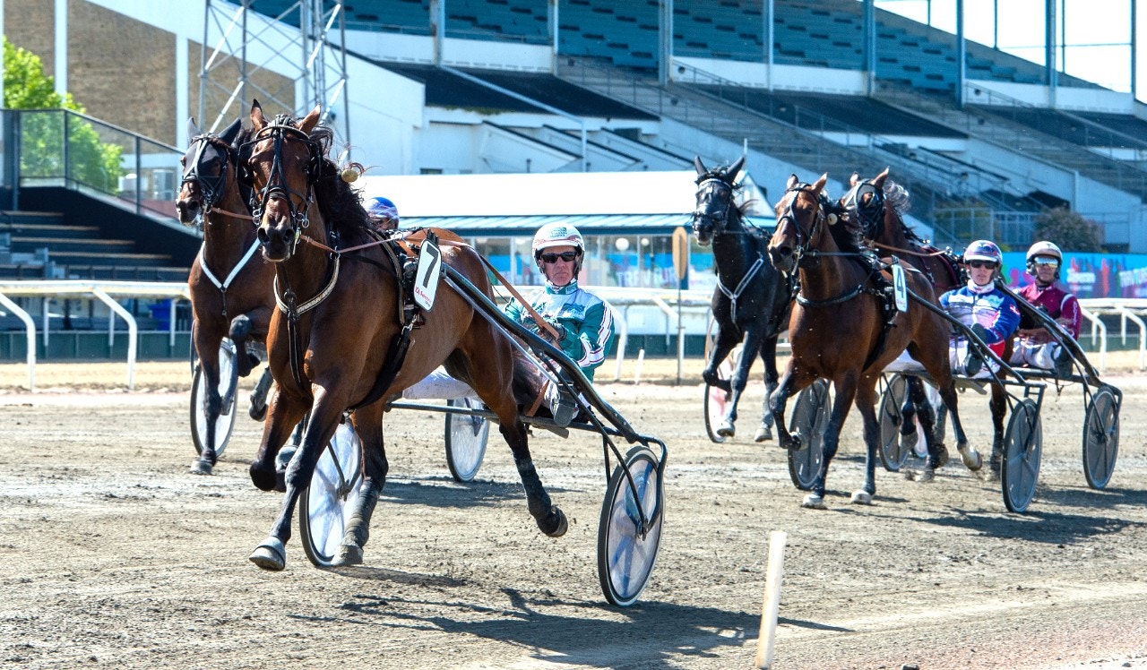 Solvalla/Åby 23 september: Vi tar den bästa vinnaren direkt!