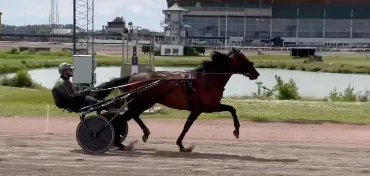 Video: Barack Face luftades på Jägersro