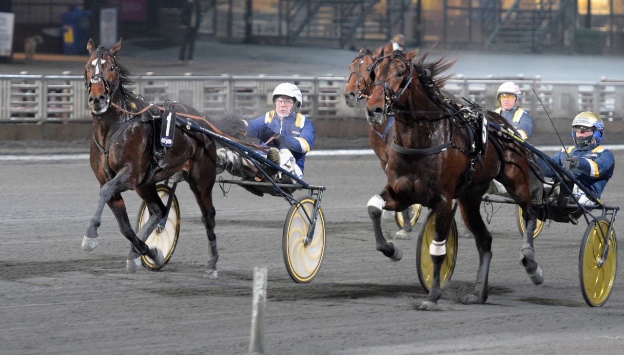 Im Your Captain tar ned stallkamraten Evaluate till seger i Solvalla Grand Prix. Foto: Leif Norberg, ALN