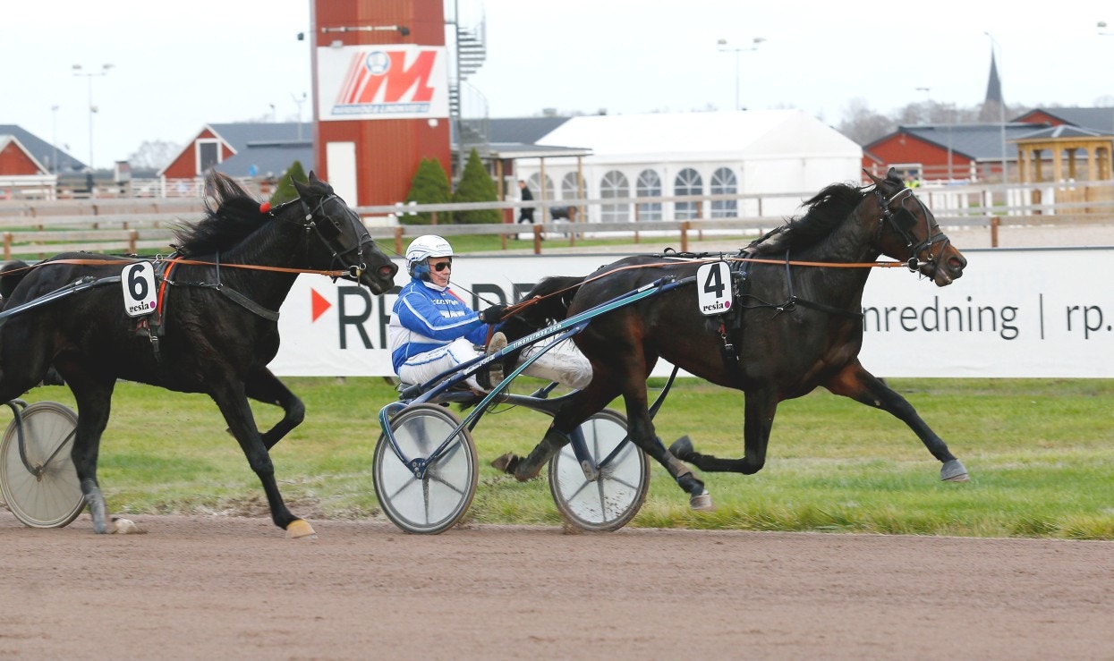 Solvalla 11 december: För och emot Nurmos