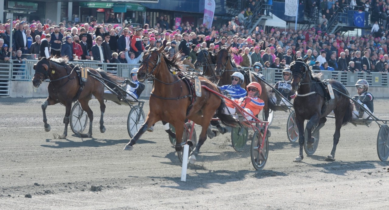 Heart of Steel hoppas på Oslo Grand Prix