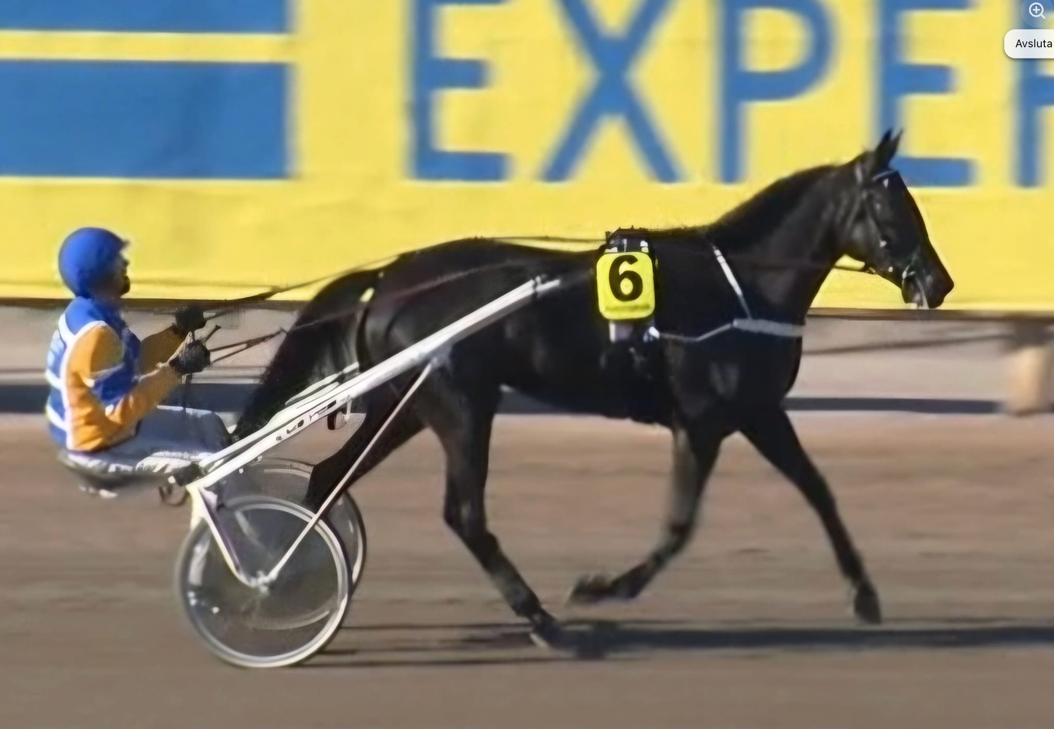 Finalist i årgångsloppen – slutbeslutet efter V86-loppet