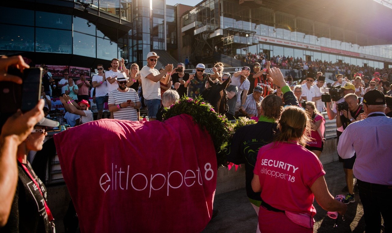 Gelati Cut siktas mot Harper Hanovers under Elitloppshelgen. Genrefoto: Simon Hastegård, Bildbyrån