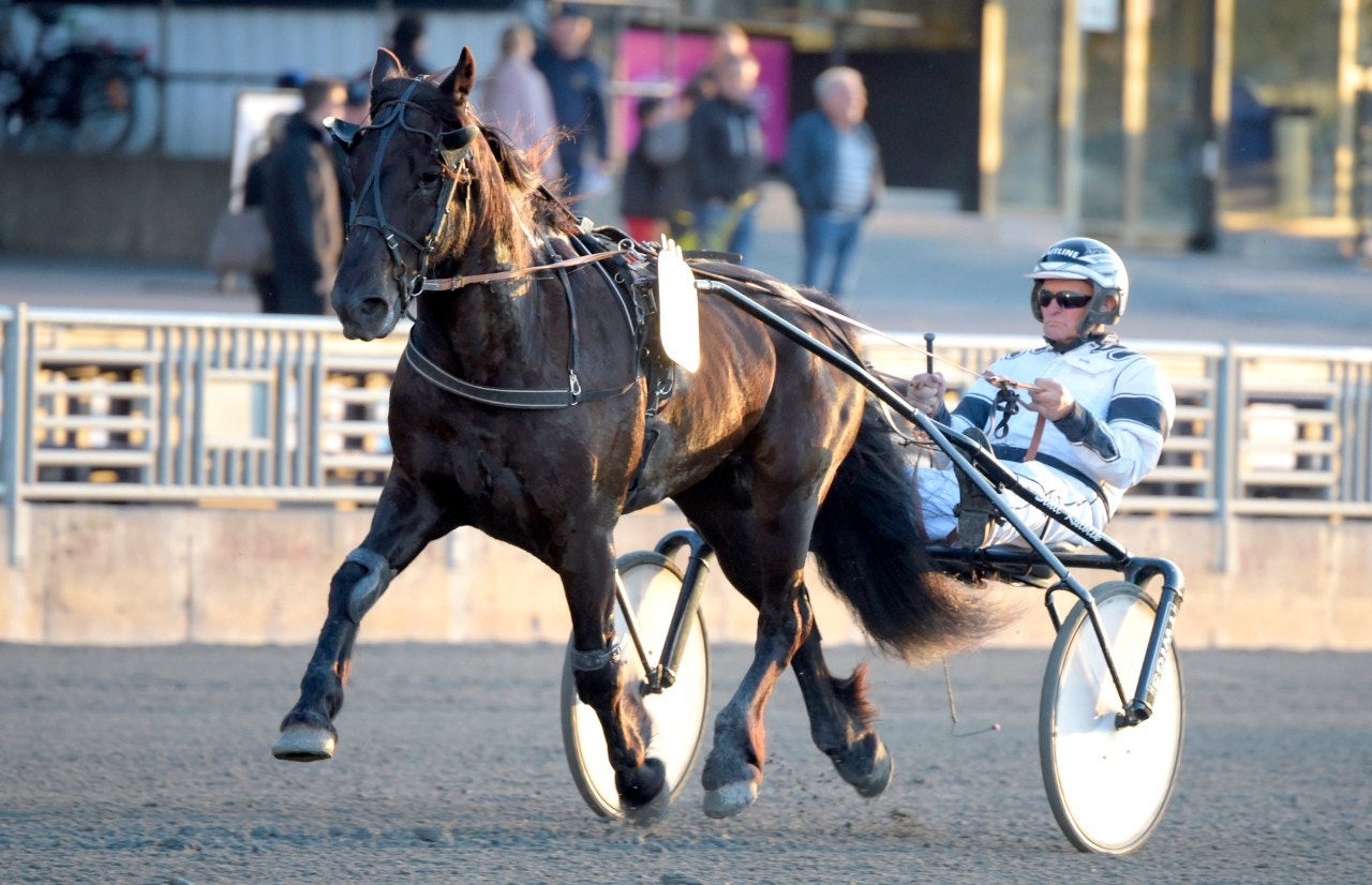 Finnskog Sjefen kommer till Solvalla och Speedrace. Foto: Martin Langels, ALN