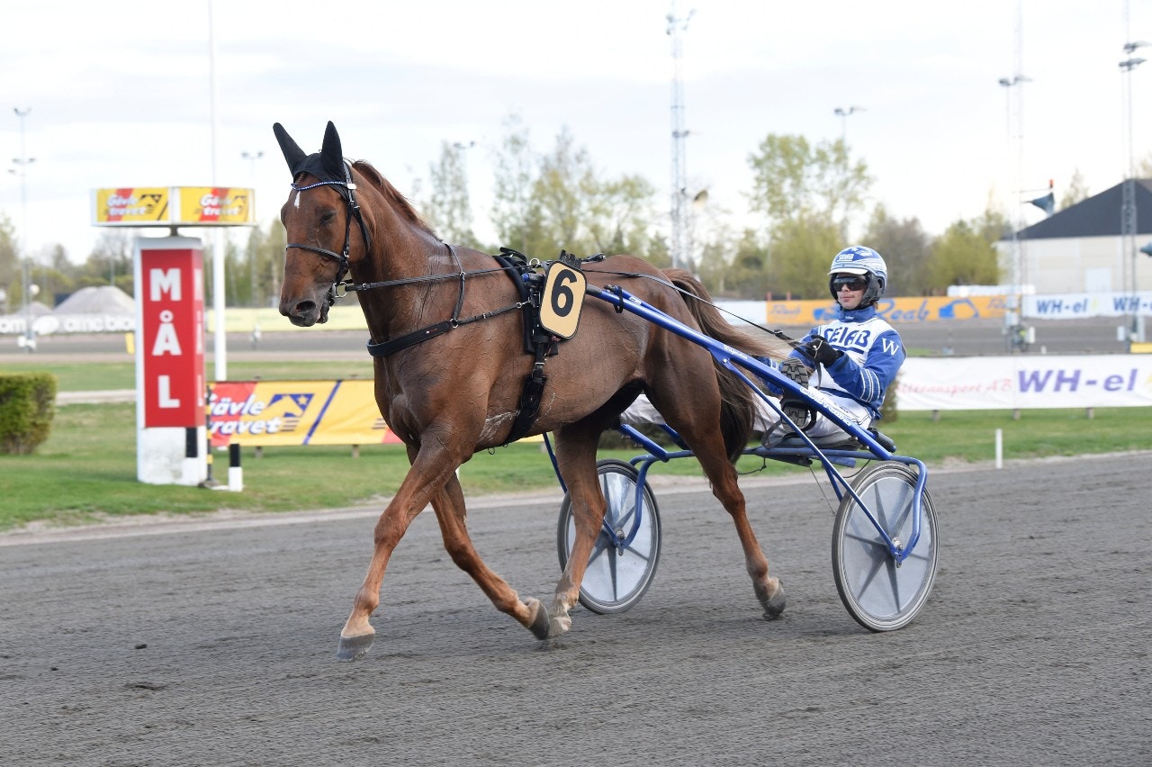 Bergsåker 21 januari: Platt fall för övriga då Daniel slår en strike