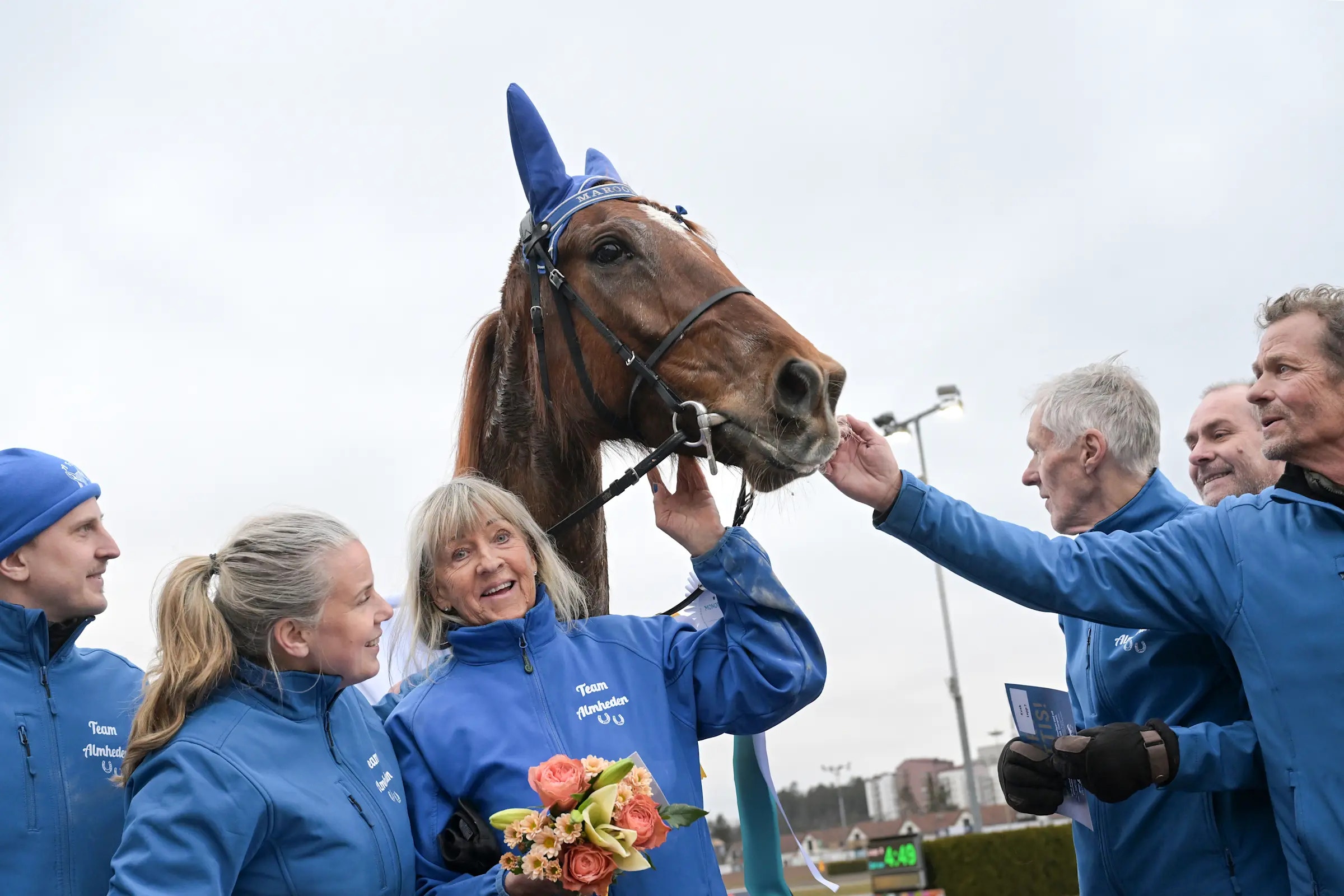 Inför V85: Sportcheferna rycker i Elisabeths hästar