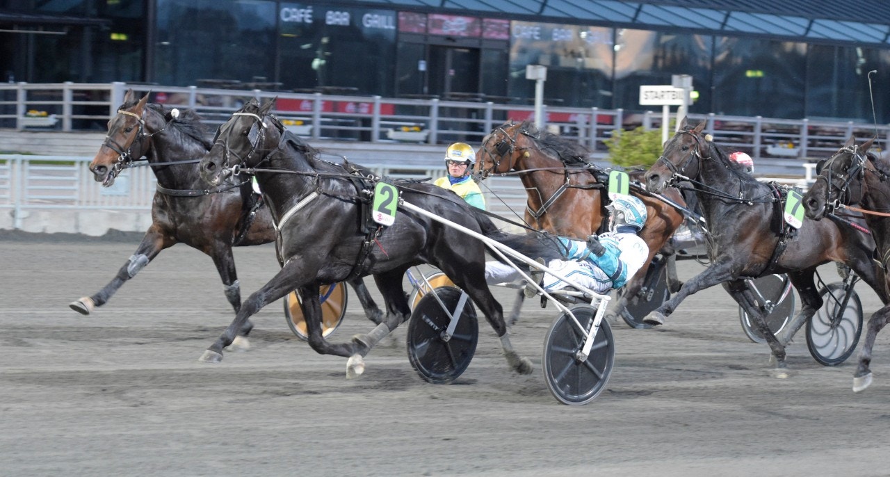 Sorbet är klar för Elitloppet igen - vann Meadow Roads lopp från dödens. Foto: Leif Norberg, ALN