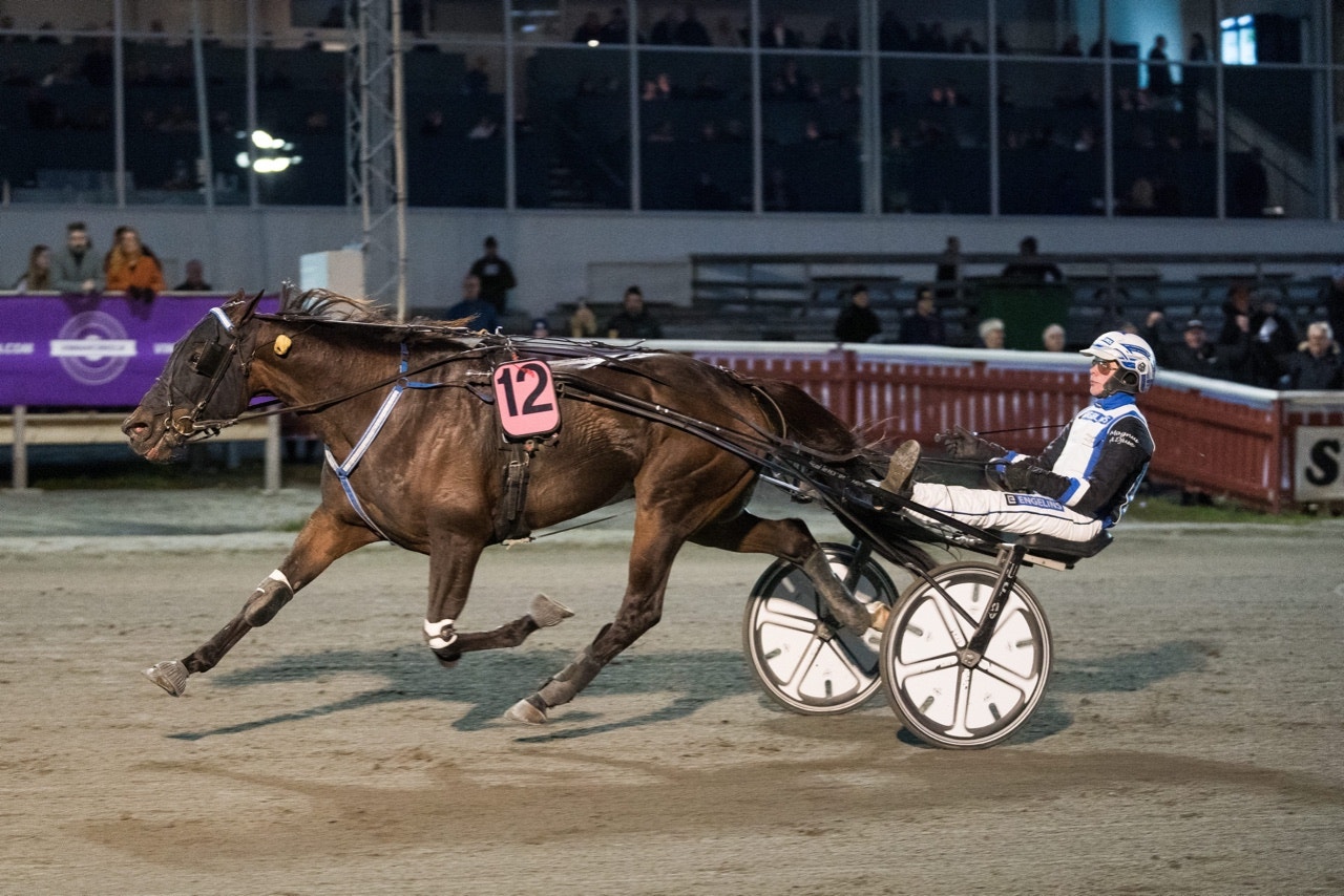 STL: Magnus A Djuse i huvudrollen