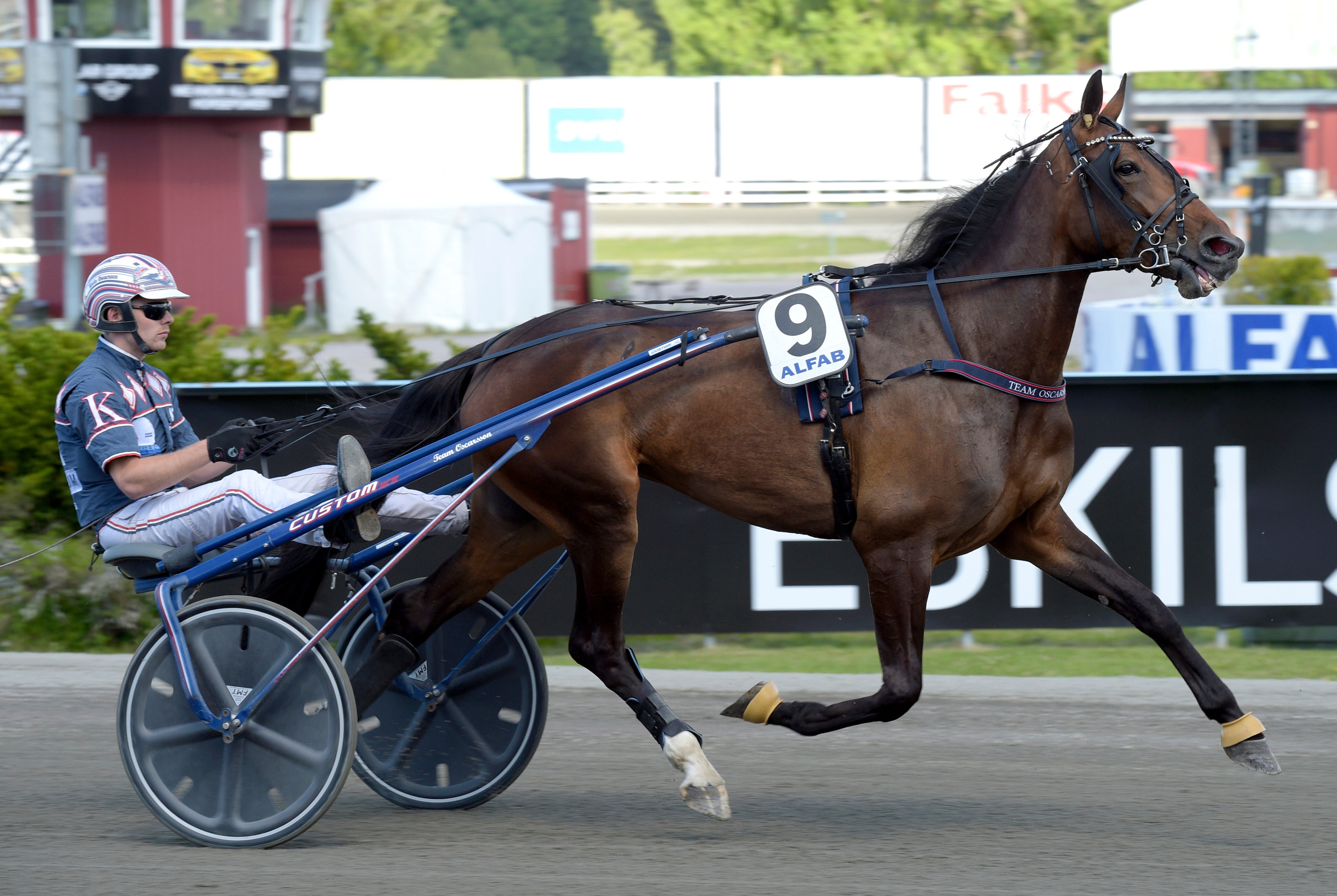 Inför V75: Favoritkollen Hidethewinehoney