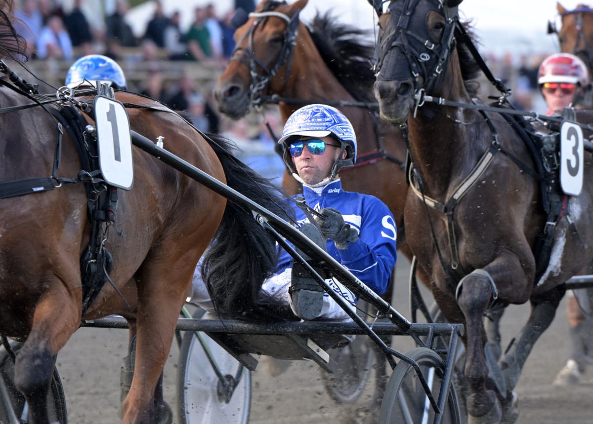 Rikard n skoglund