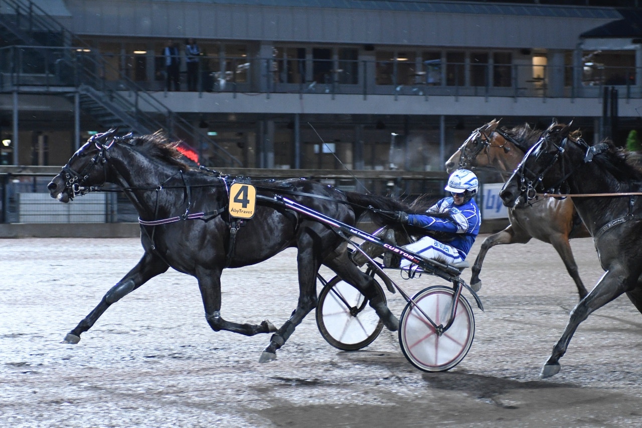 Very Kronos och Erik Adielsson  vann lätt när STL drog till Romme - Foto: ALN
