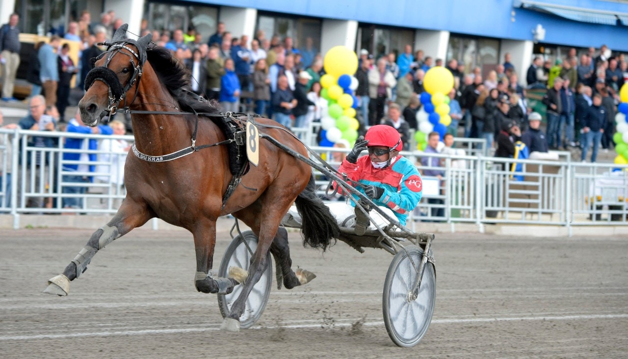 En flygande Volnik du Kras