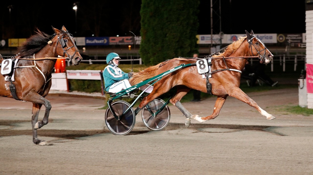 Foto: Thomas Gustafsson, ALN