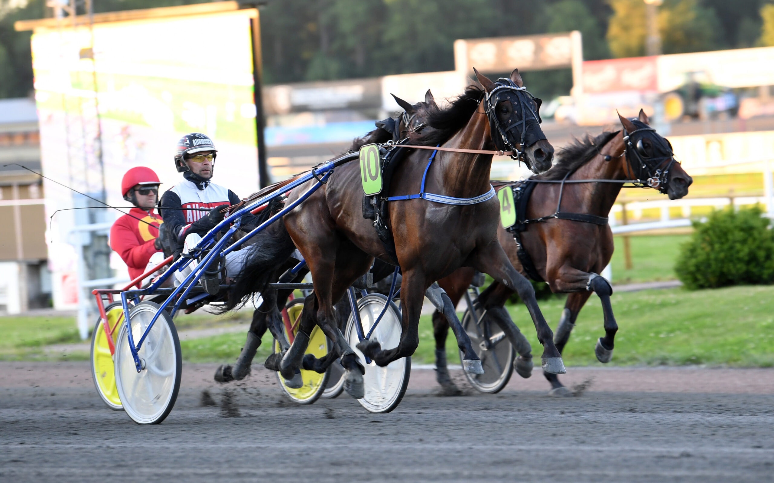 Foto: Malin Albinsson, TR Bild