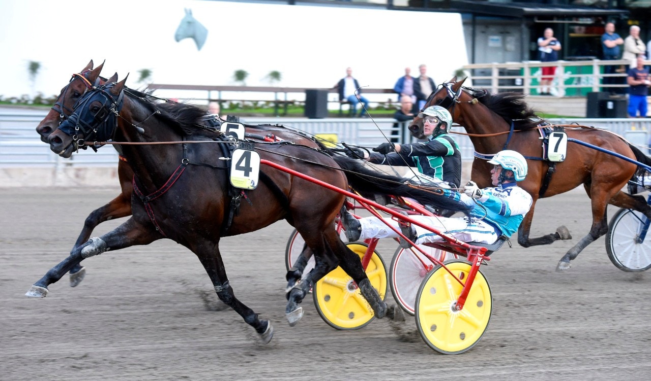 Exodus Hanover vid en seger på Solvalla. Foto: Martin Langels, ALN
