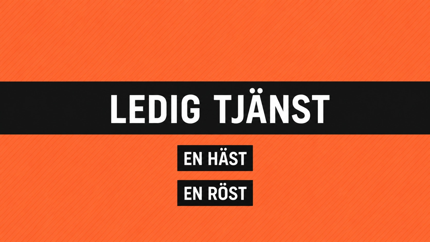 Verksamhetsledare – En Häst En Röst