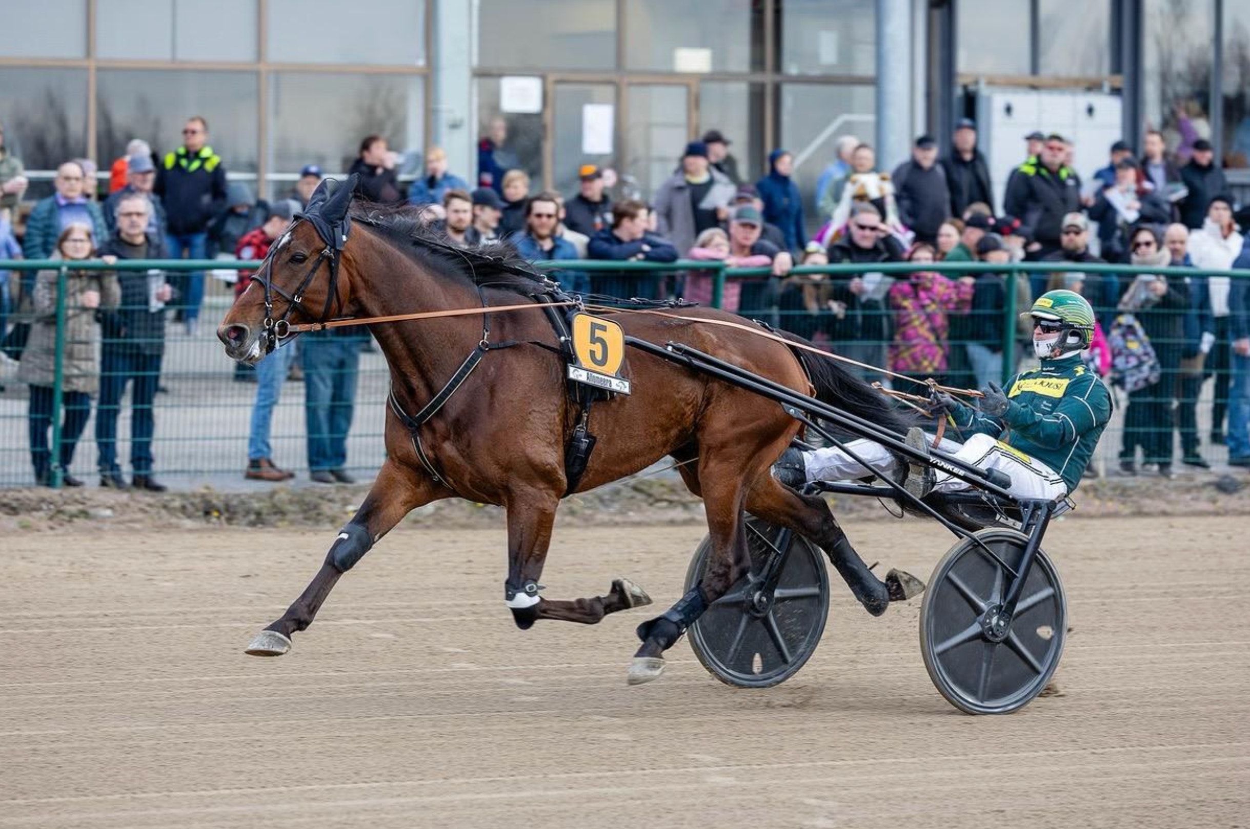 Storskrällen tar sista platsen – här är fältet till Elitloppet 2025