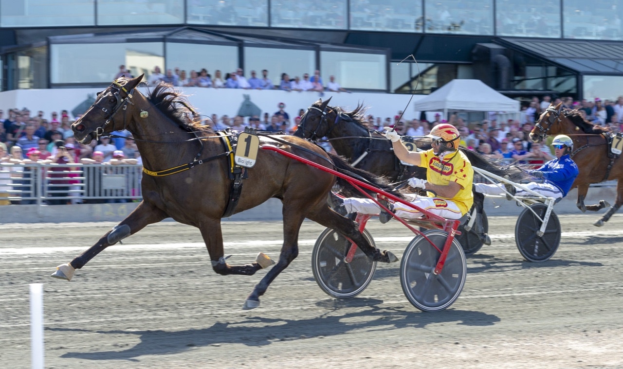 Arazi Boko vann återigen Campionato Europeo i Cesena - Foto: ALN