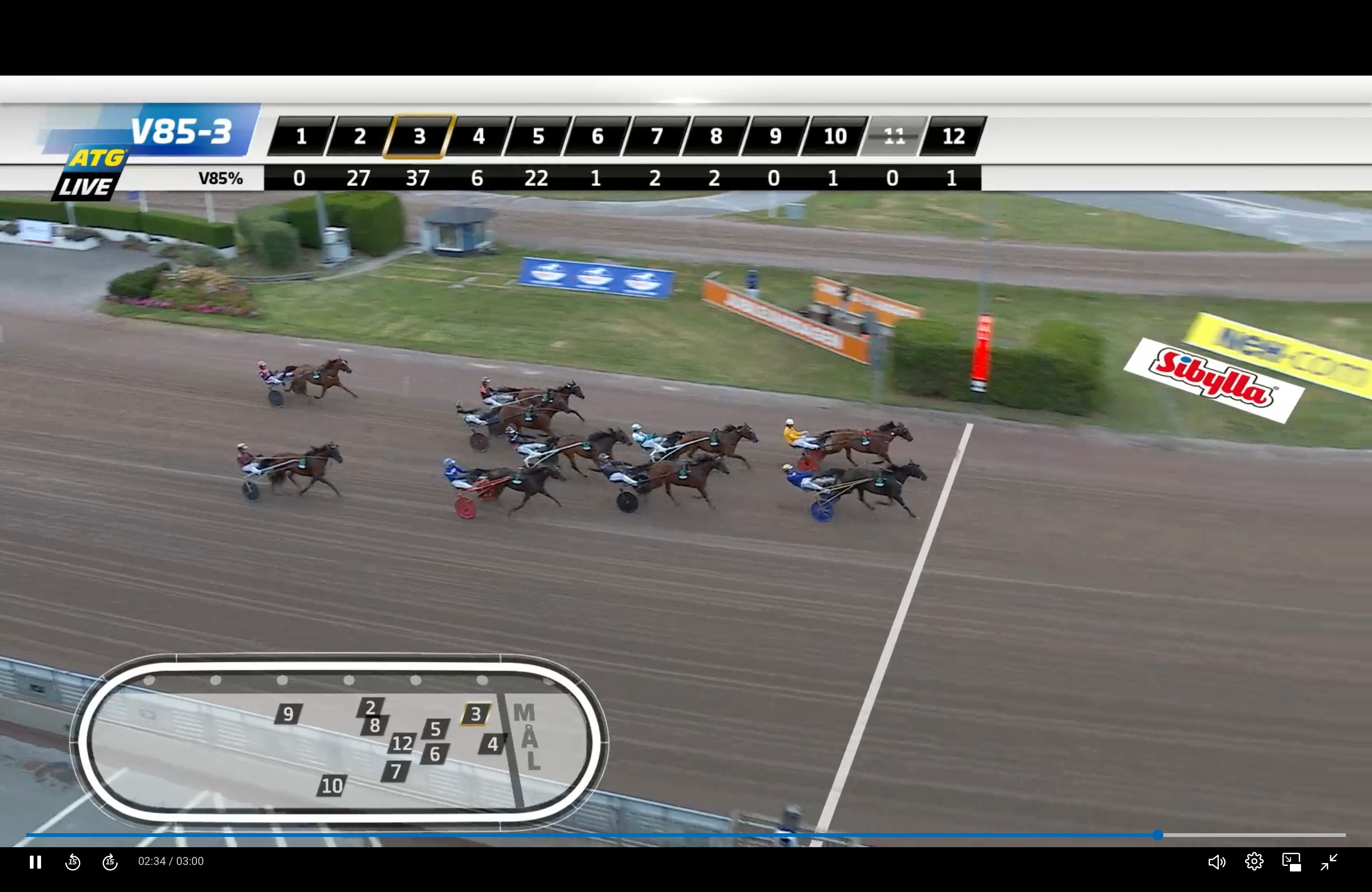 Betting Pacer tog hem EM för ston - efter imponerande slutrunda