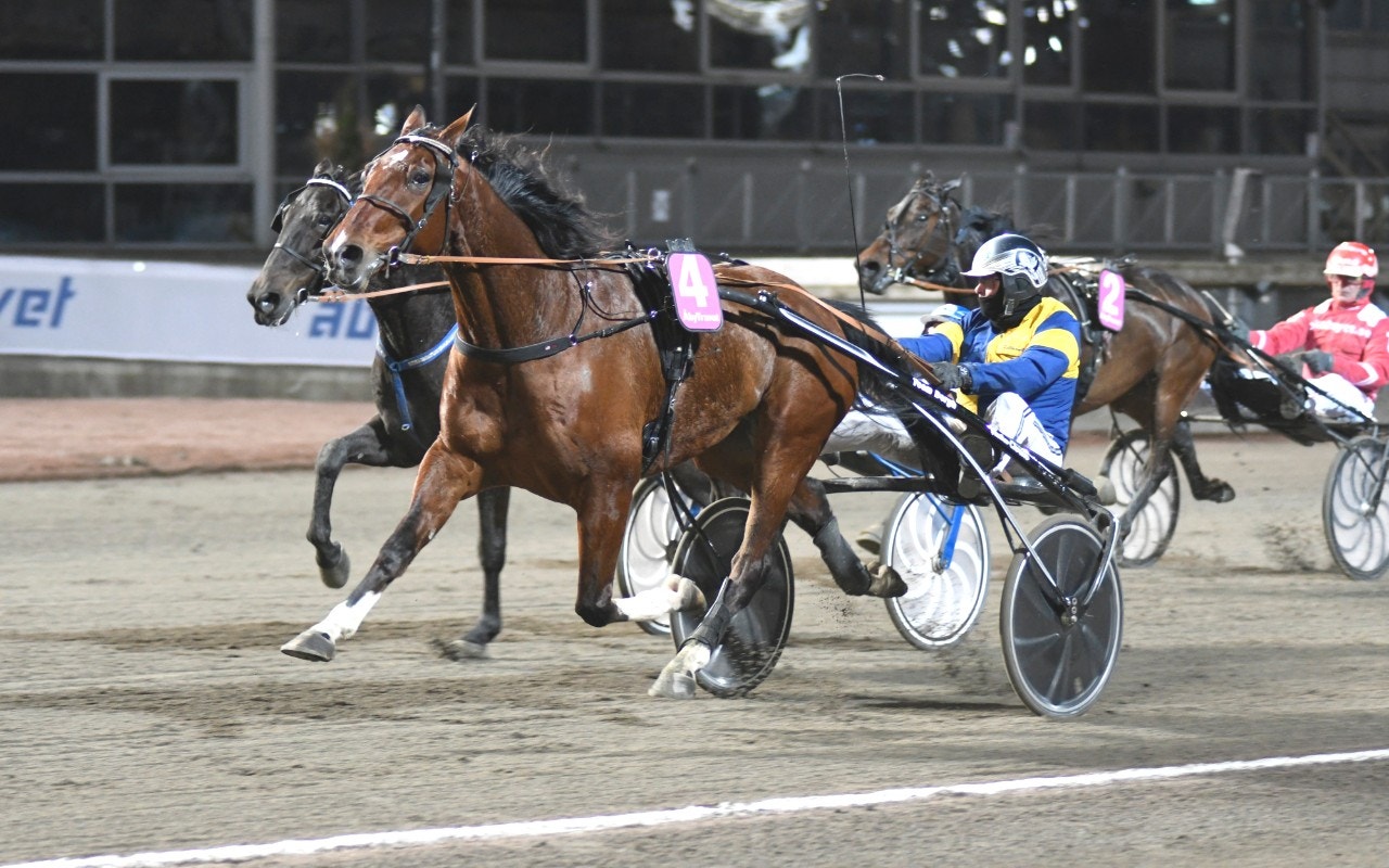 Vikens High Yields insats på Åby gick verkligen inte av för hackor. Foto: Göran Lindskog, ALN