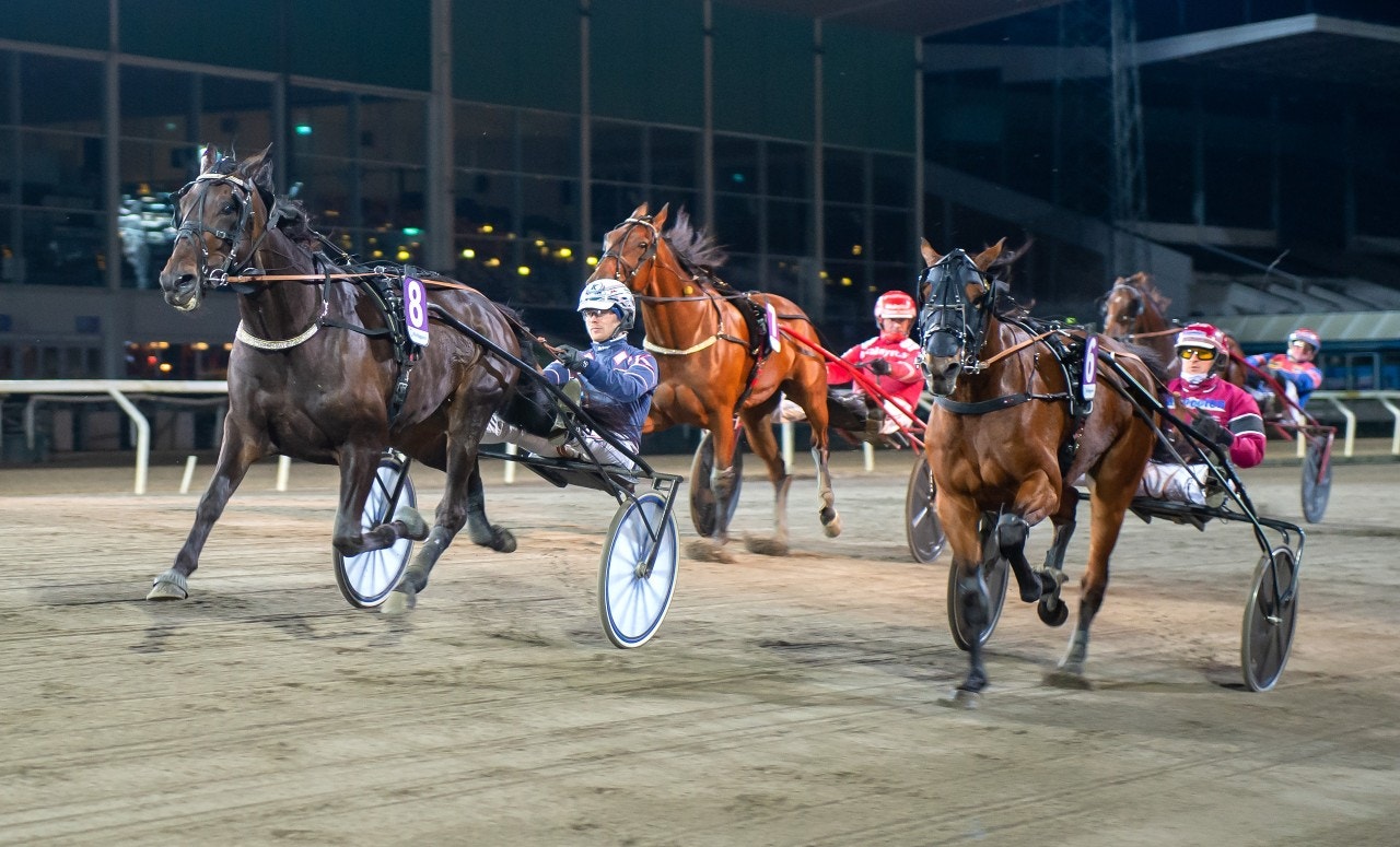 Franklin Face mot en ny seger. Foto: Mikael Rosenquist, ALN