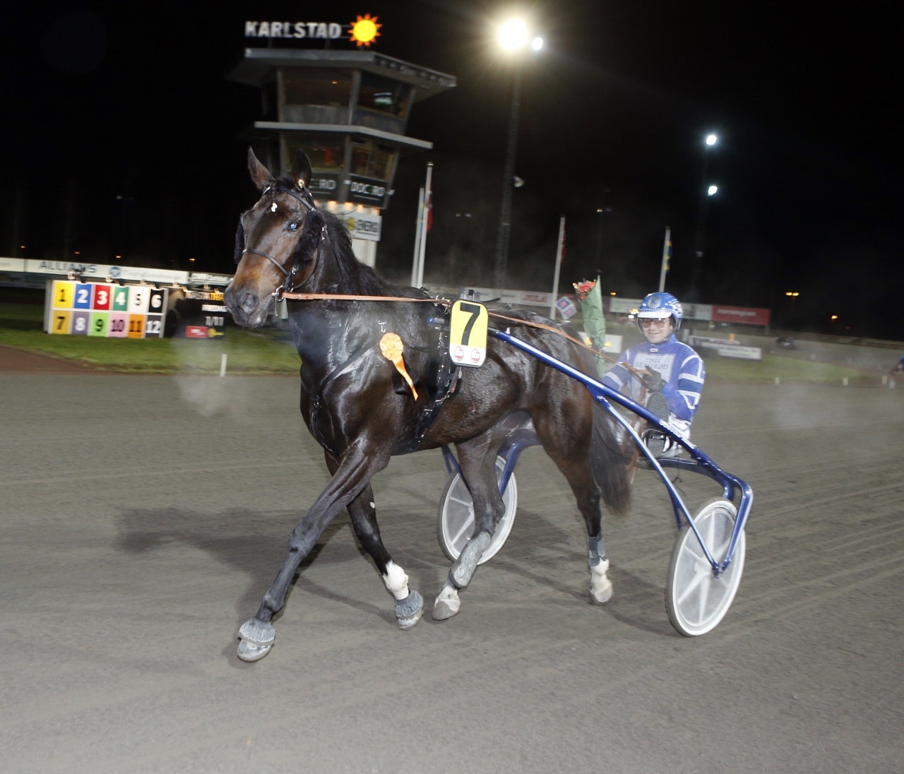 Axevalla 9 februari: Raja Ravina - riviga rapporter