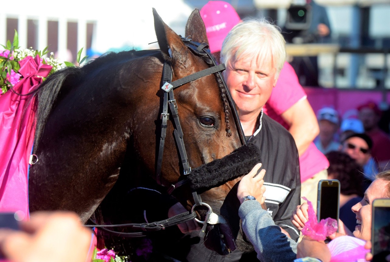 Ringostarr Treb återvänder till Hugo Åbergs. Foto: Martin Langels, ALN