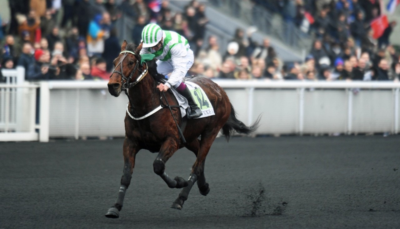Bilibili vid segern i Prix de Cornulier i fjol. Foto: Gerard Forni, Scoop Dyga
