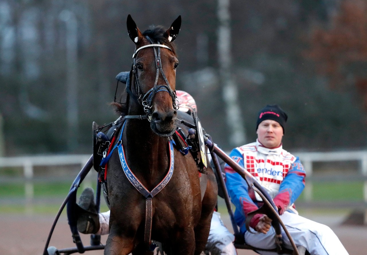 Southwind Feji lägger tävlingsskorna på hyllan. Foto: Micke Gustafsson, ALN