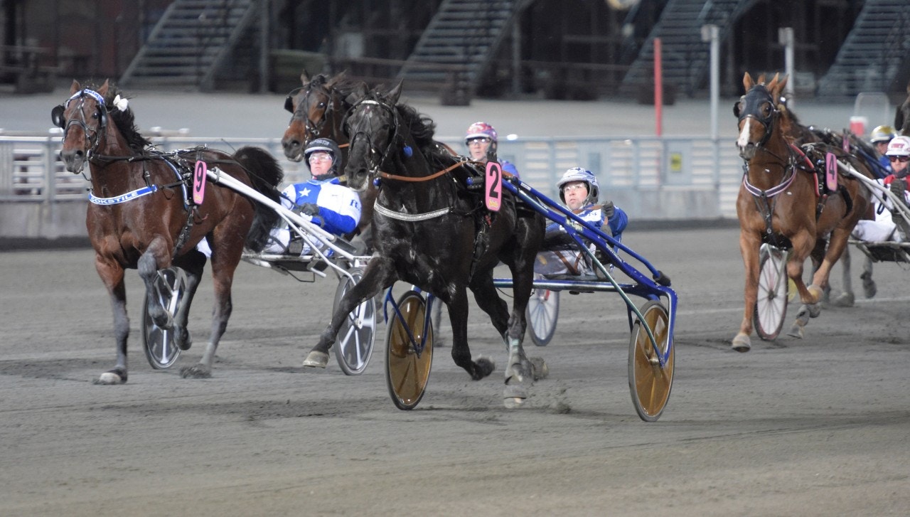 Chief Orlando stormar fram till seger på 1.09,8 i The Onions lopp. Foto: Leif Norberg, ALN
