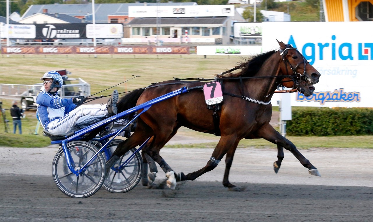 Vi inleder dagen med Merritt. Foto: Hanold, ALN