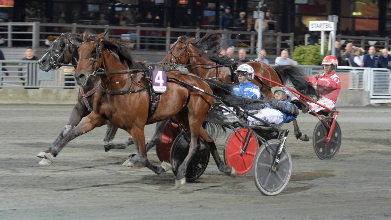 Shadow Gar vid en seger på Solvalla i höstas. Foto: Leif Norberg, ALN