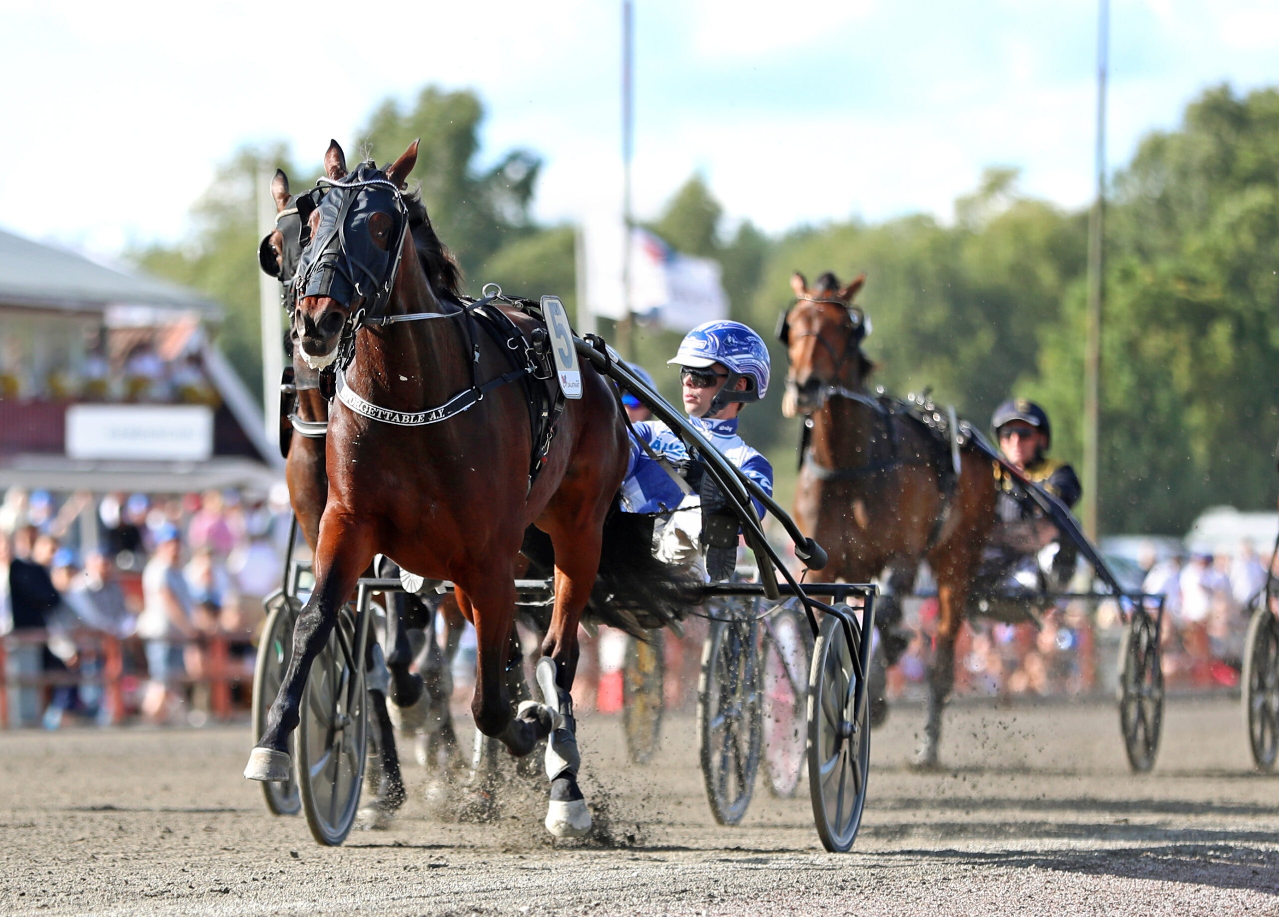 En travhäst med sulky och kusk leder loppet på en travbana, med fler ekipage och publik i bakgrunden.