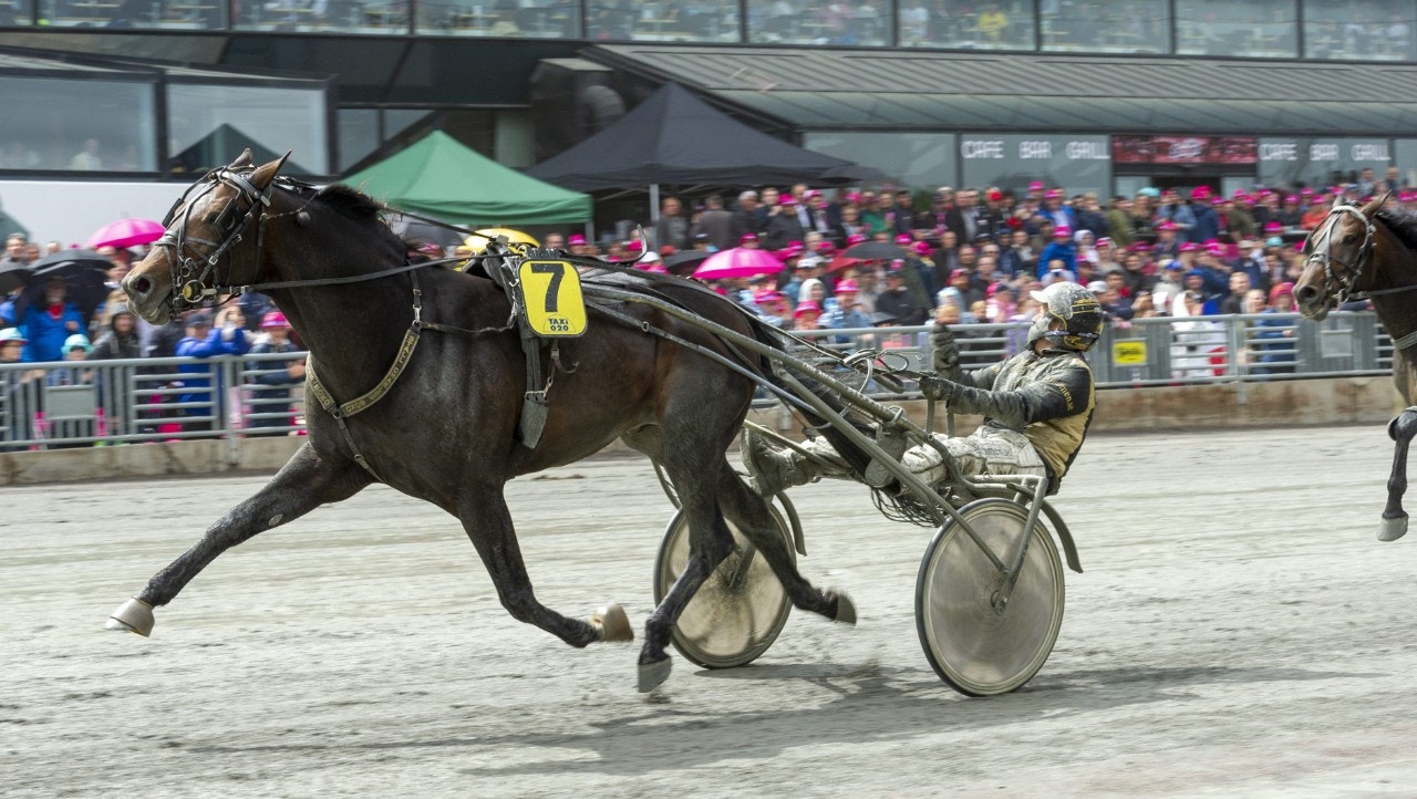 M.T. insider är snabbast i landet - vann Speedrace igen. Foto: Tommy Andersson, ALN