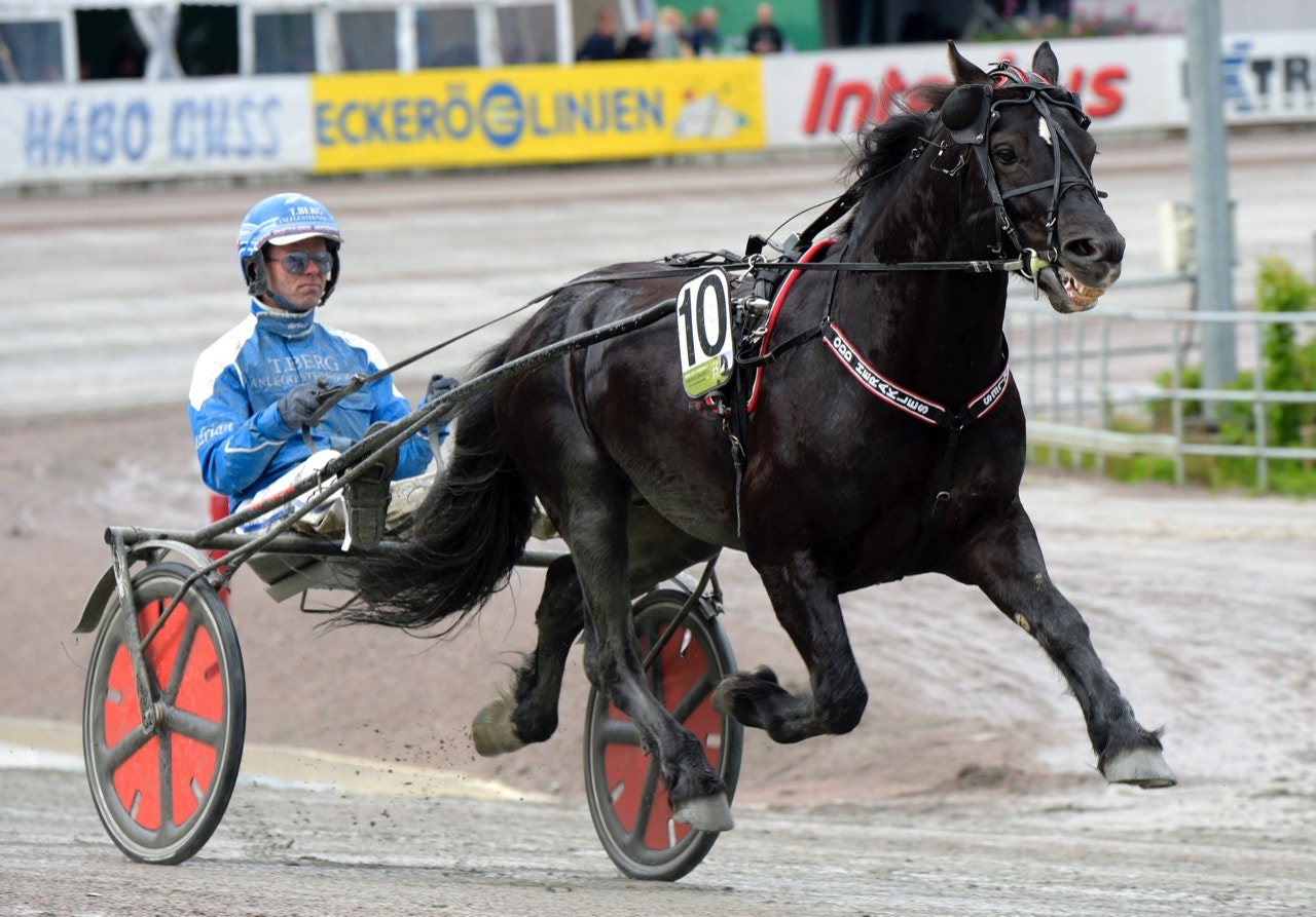 Odd Herakles kan titulera sig Norsk mästare igen - Foto: ALN