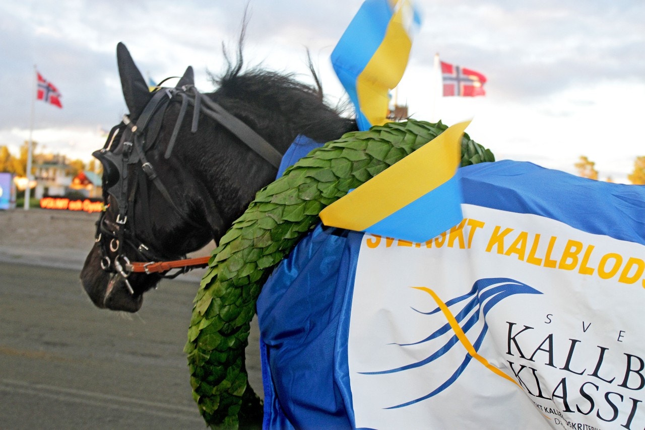 Havglimt segerdefilerar efter Kallblodsderbyt i fjol. Foto: ALN