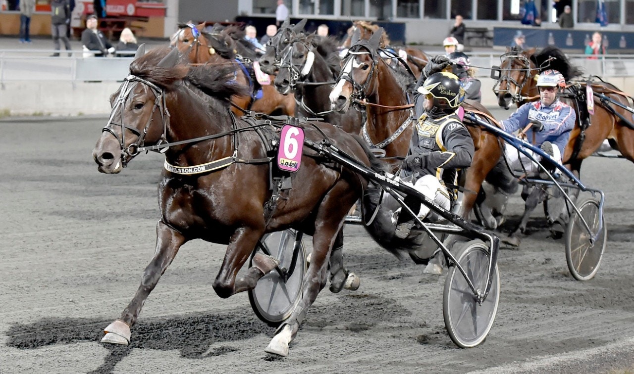 Backegubben blir ny svensk häst i Paris. Foto: Alf Lindbergh, ALN