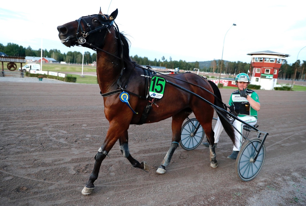 Tips Gävle torsdag 5 september: Westholm har flera fina chanser