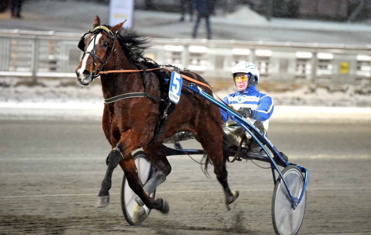Global Winner är spelet i stayern. Foto: Martin Langels, ALN