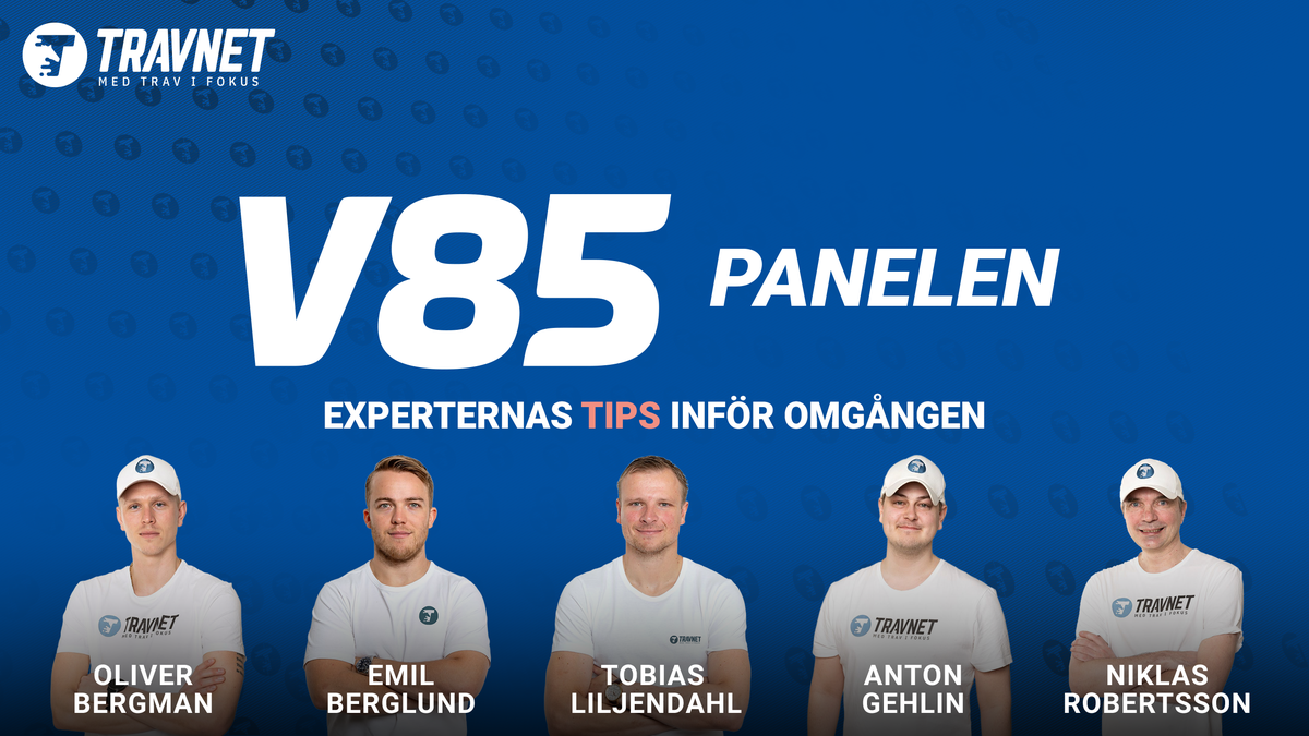 Panelen V85