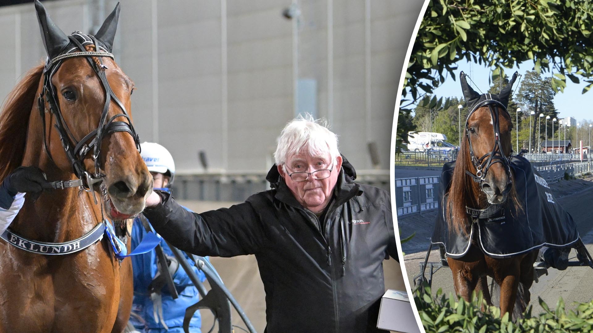 Rolfs miljonärska har gjort sin sista start