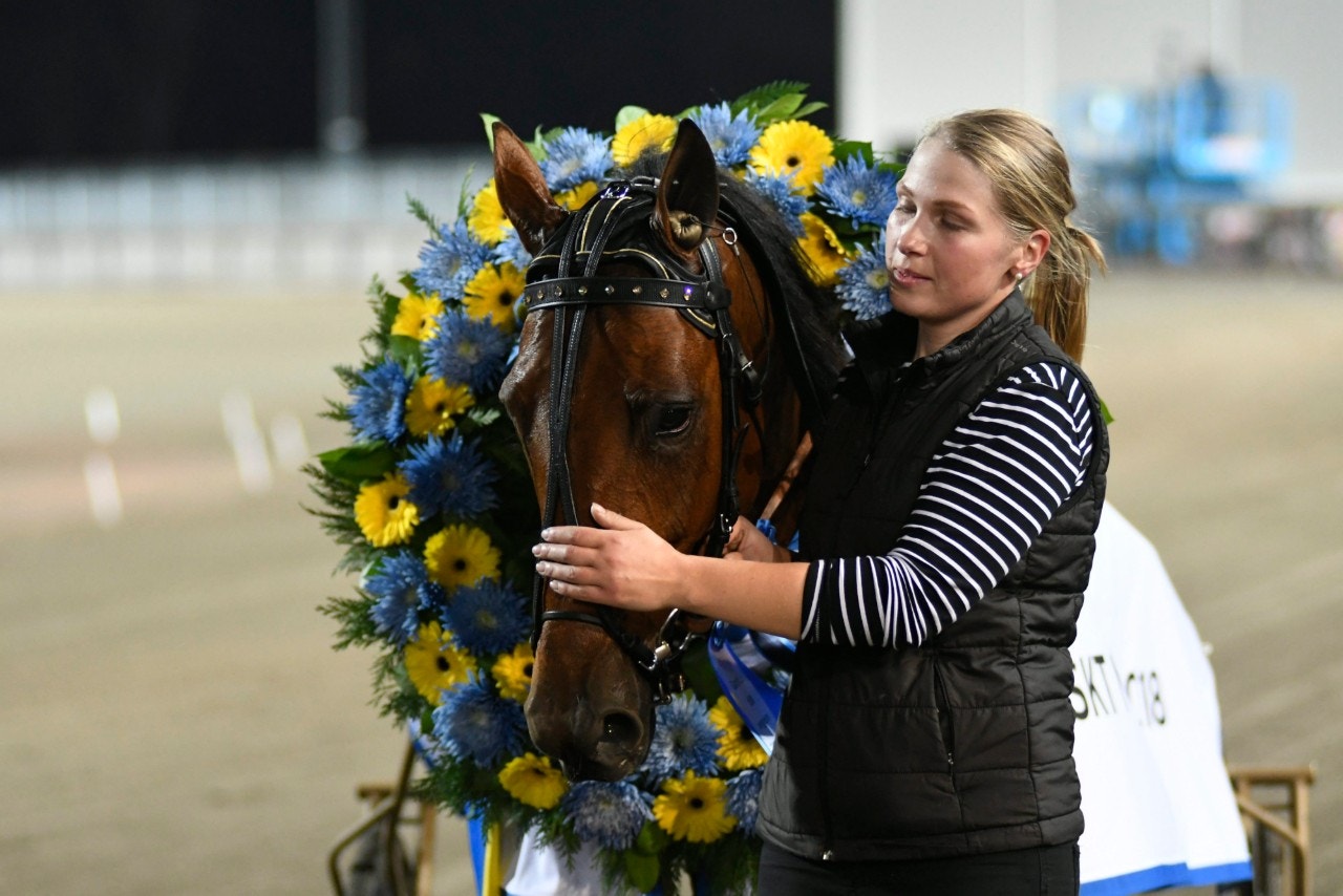 Readly Express slog rekord vid avelsvärderingen när han erhöll hela 97 poäng - och Inga Perk fick pris som dagens bästa visare. Foto: Göran Lindskog, Sidmakarn/ALN