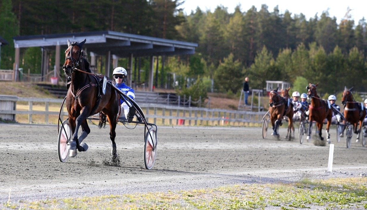Toppstammade Fabulous Pellini är kvällens bästa spel. Foto: Hanold, ALN
