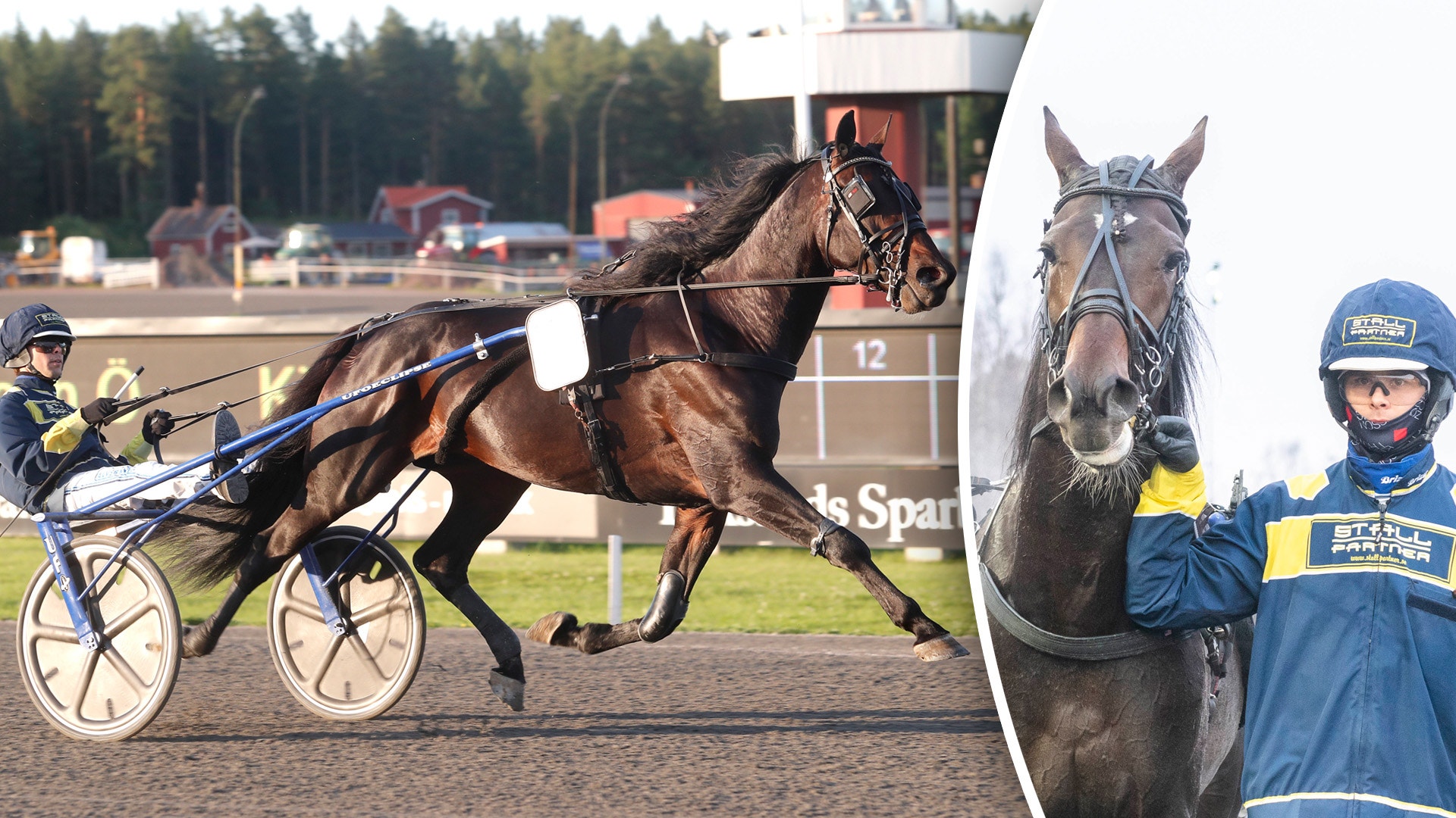 Wäjersten om Night Arts öde: "Jävligt trist"