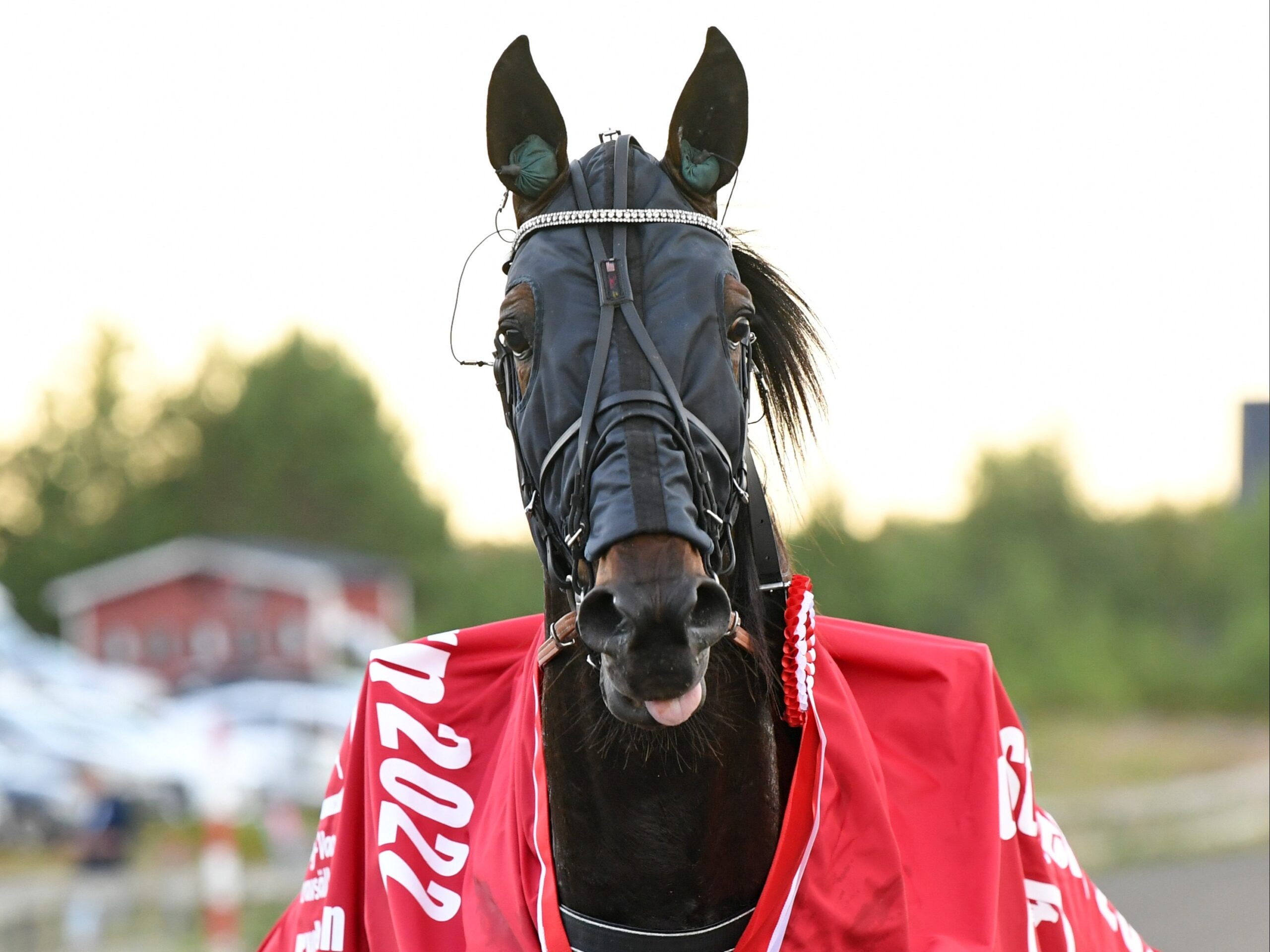 Foto: Malin Albinsson/TR Bild
