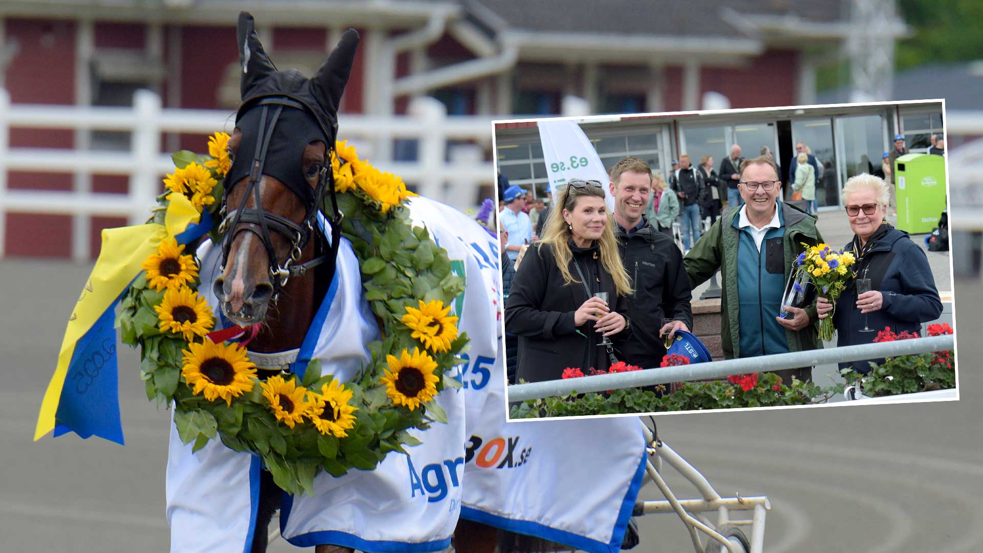 E3 seger med Kobra Brick