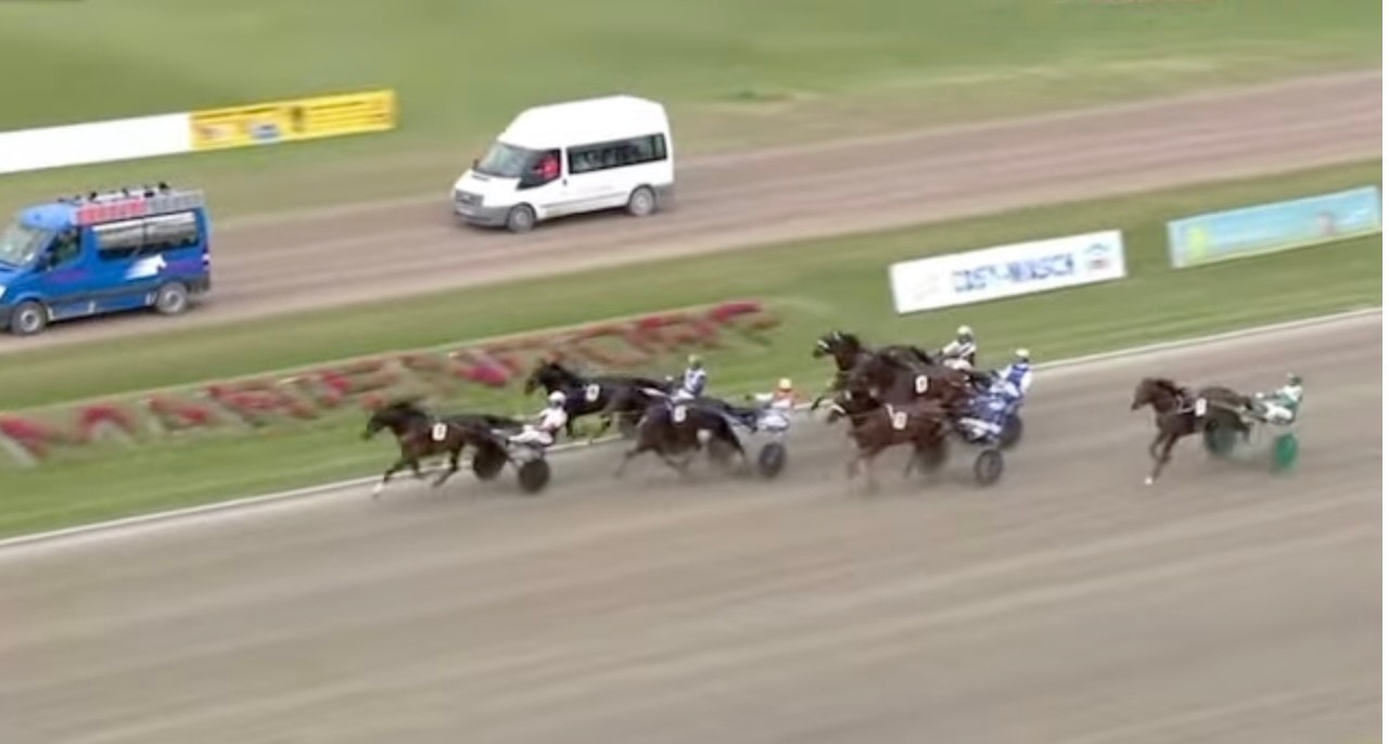 Tyska derbyvinnaren till svensk träning: "Spännande häst"