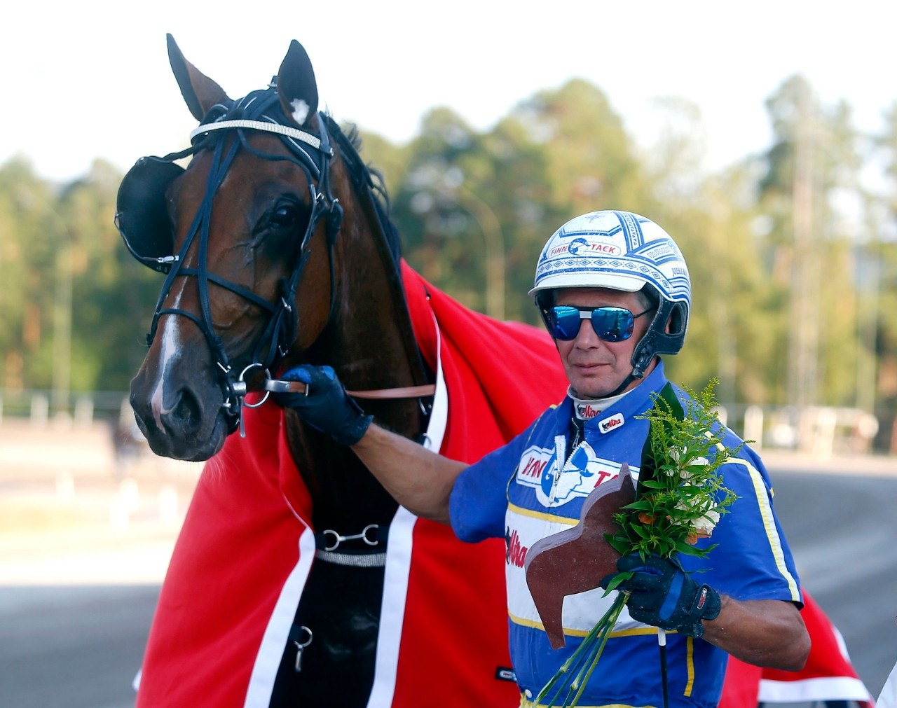 Timo Nurmos Derby-vinnare Hachiko de Veluwe är en av hästarna i Suur-Hollola. Foto: ALN